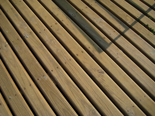 EMPRESA DE FUMIGACION DE LEPISMAS DF